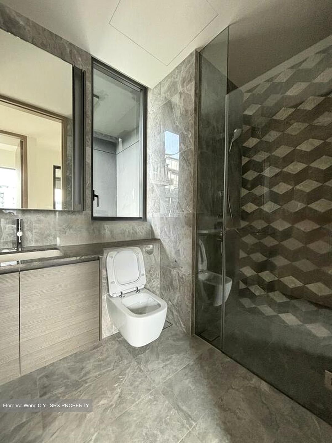 Leedon Green (D10), Condominium #457021141